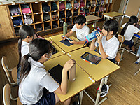 Photo_7