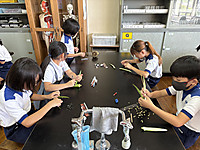 Photo_3