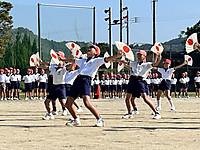 Photo_17 Photo_17