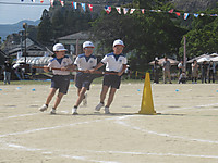 3_3