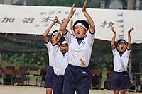 Photo_11