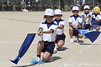 Photo_12