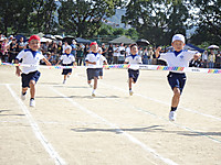 Photo_4