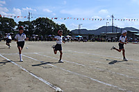 Photo_8