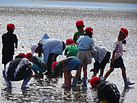 1_3 1_3